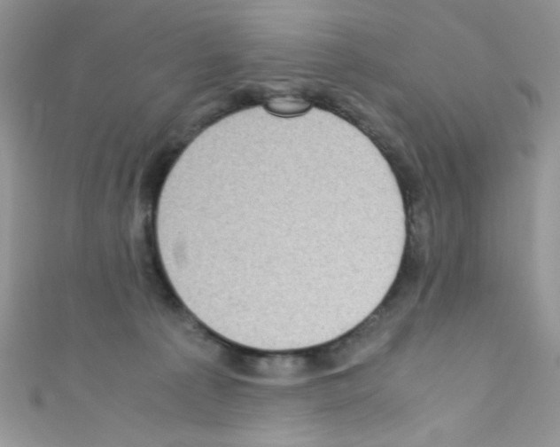 X0000110730225200907241234