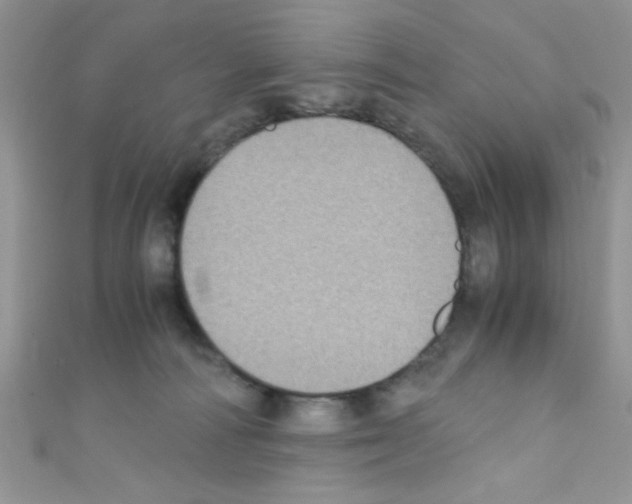 X0000110730226200907241234
