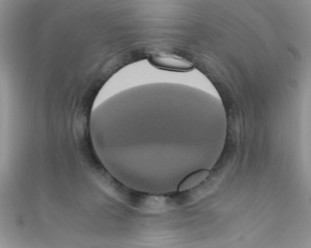 X0000110730227200907241233