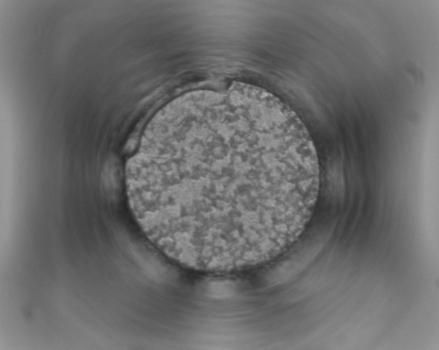 X0000110730228200907241233