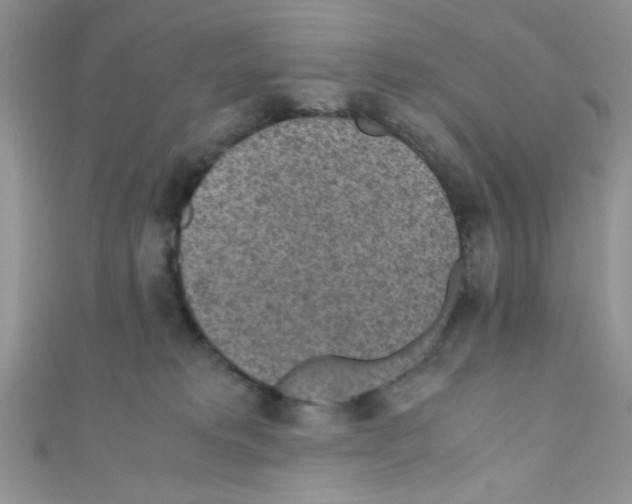 X0000110730229200907241233