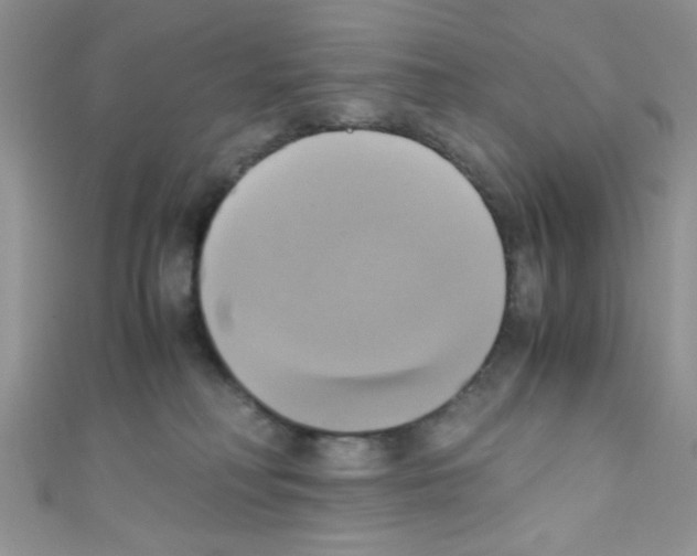 X0000110730230200907241233