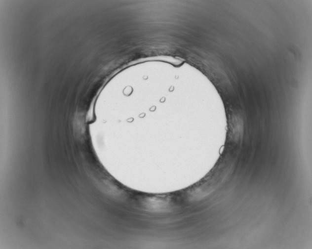 X0000110730232200907241233