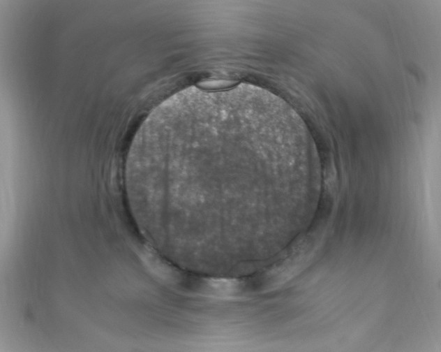 X0000110730233200907241233