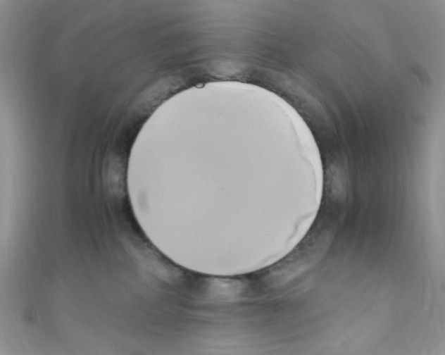 X0000110730234200907241233