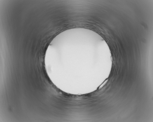 X0000110730235200907241233