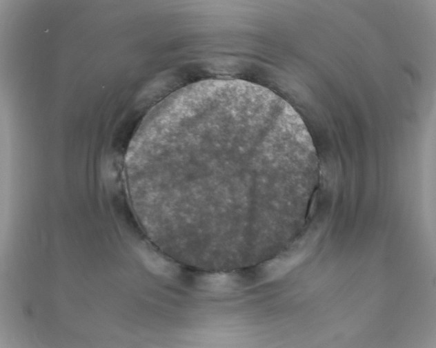 X0000110730237200907241233