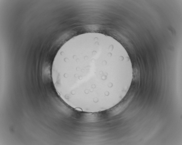 X0000110730238200907241233