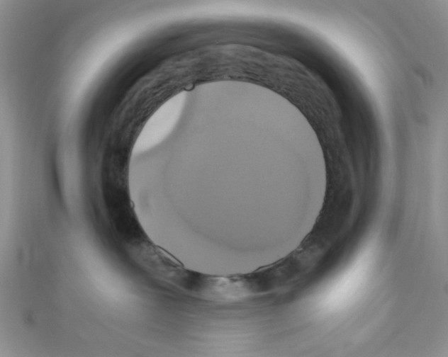 X0000110730239200907241233