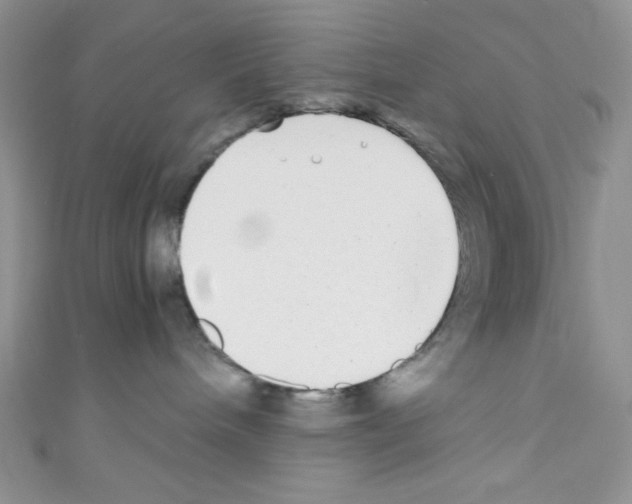 X0000110730240200907241233