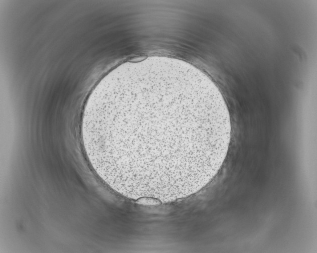 X0000110730241200907241233