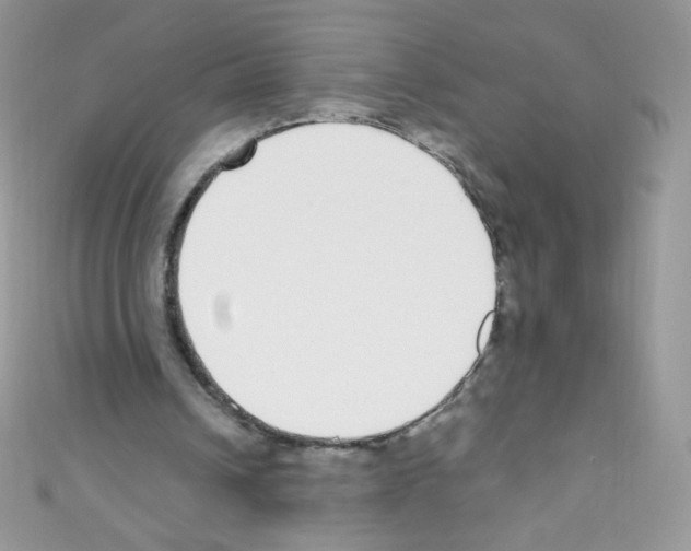 X0000110730242200907241233