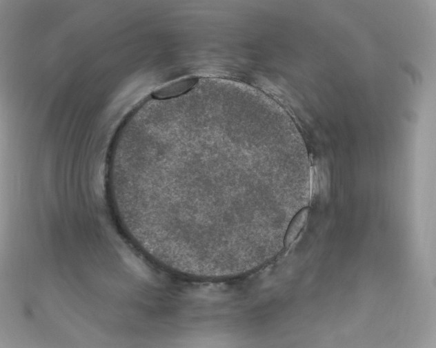X0000110730243200907241233