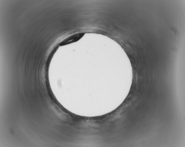 X0000110730244200907241233