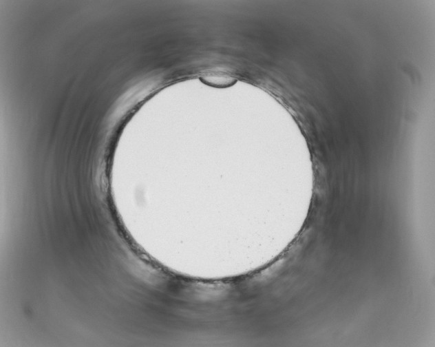 X0000110730245200907241233