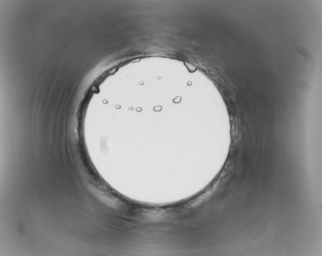 X0000110730246200907241233