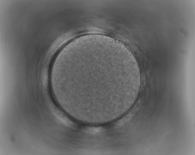 X0000110730247200907241233