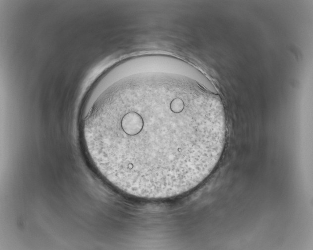 X0000110730248200907241233