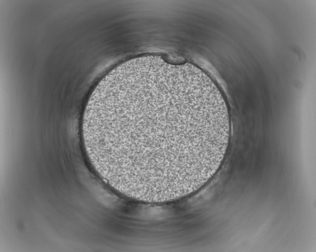X0000110730249200907241233