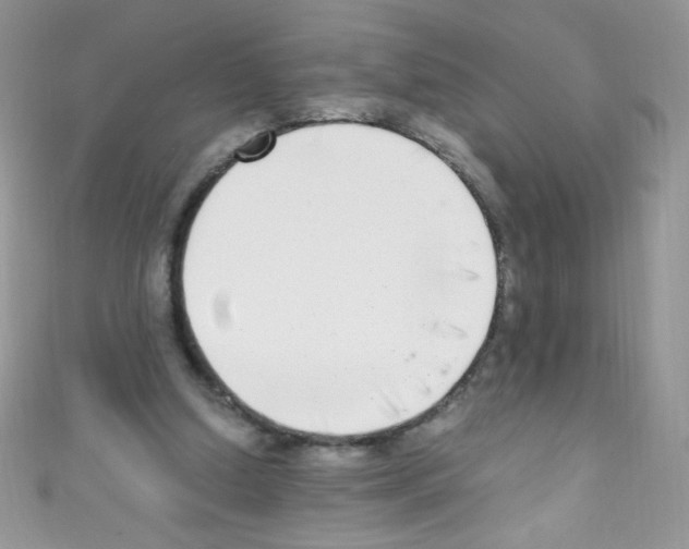 X0000110730250200907241233