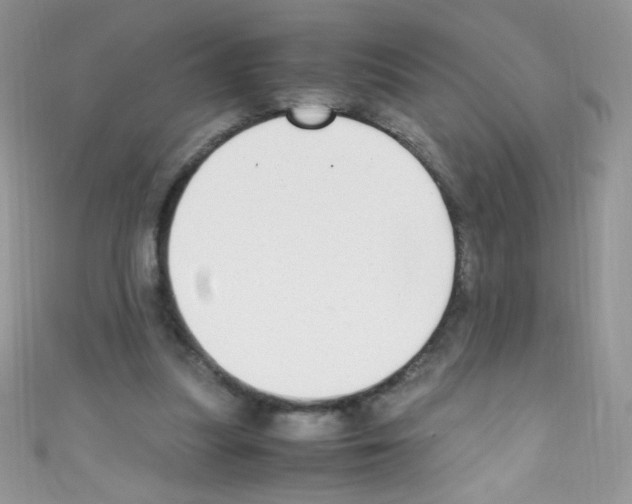 X0000110730251200907241233