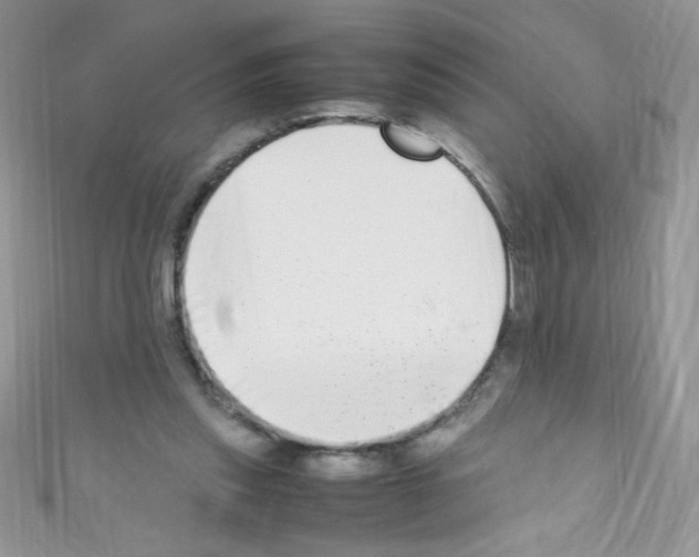 X0000110730253200907241233