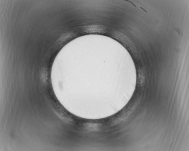 X0000110730255200907241233