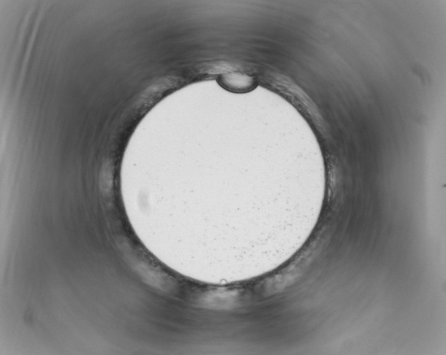X0000110730257200907241233