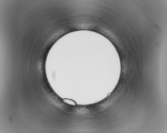 X0000110730258200907241233