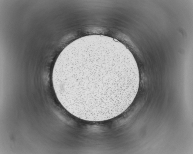 X0000110730259200907241233