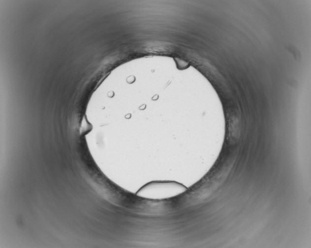 X0000110730260200907241233