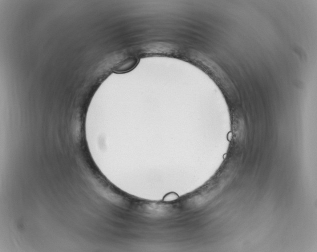 X0000110730261200907241233