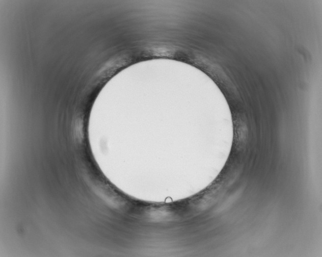 X0000110730262200907241233