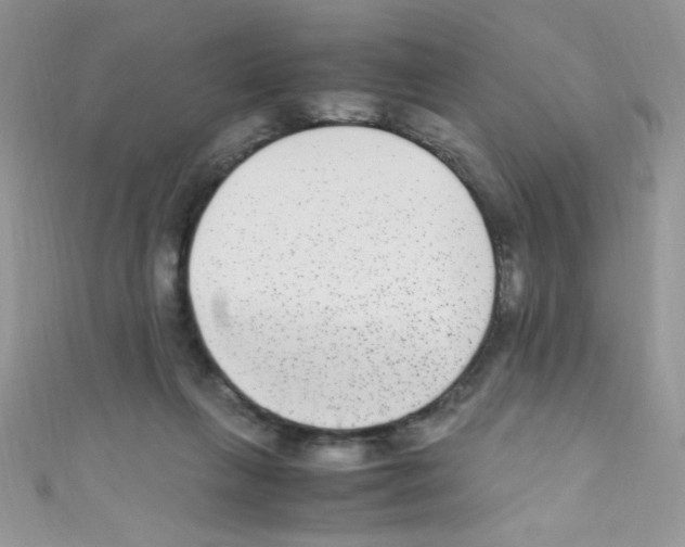X0000110730263200907241233