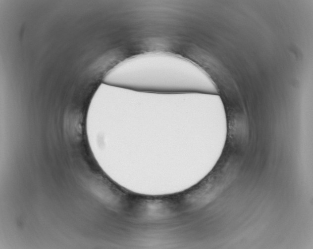 X0000110730264200907241233