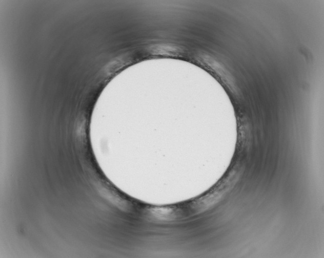 X0000110730265200907241233