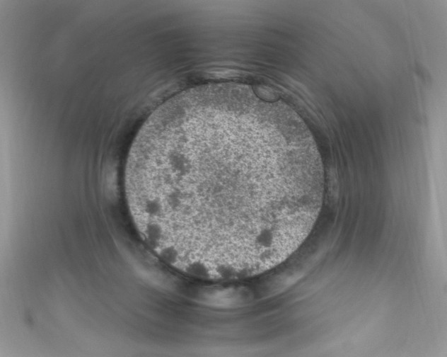 X0000110730267200907241233