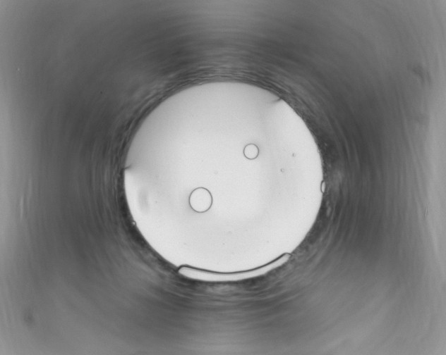 X0000110730268200907241233