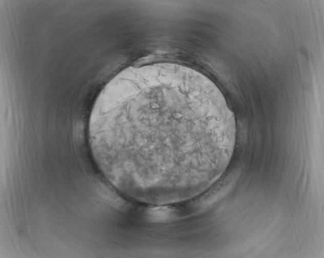 X0000110730269200907241233
