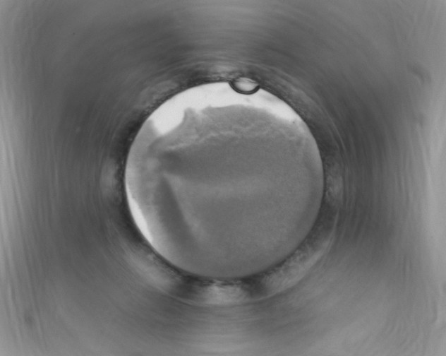 X0000110730270200907241233