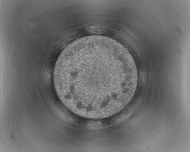 X0000110730271200907241233