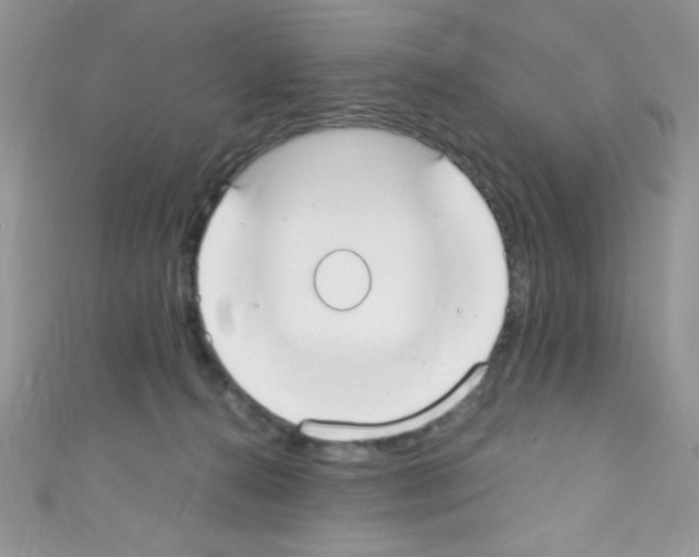 X0000110730272200907241233