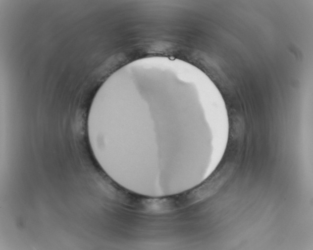 X0000110730273200907241233