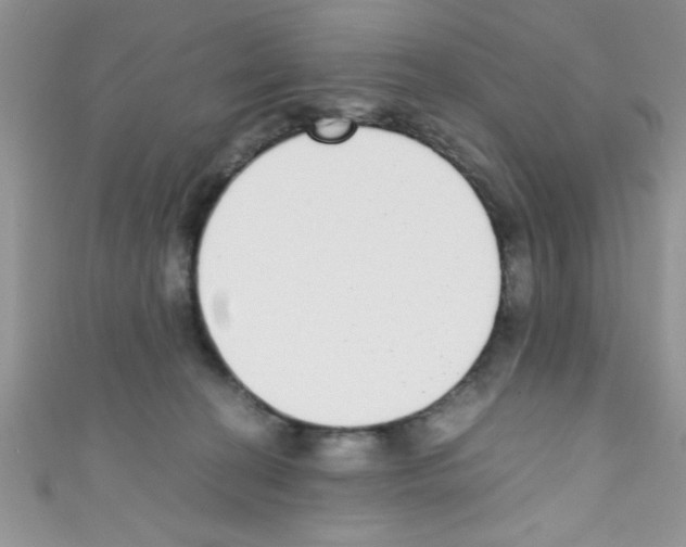 X0000110730274200907241233