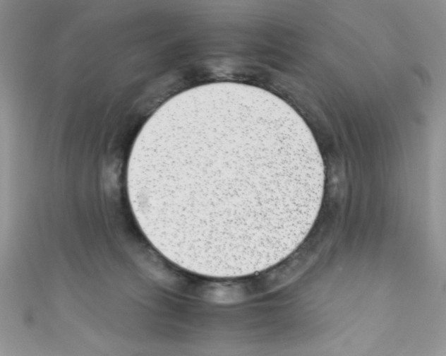 X0000110730275200907241233