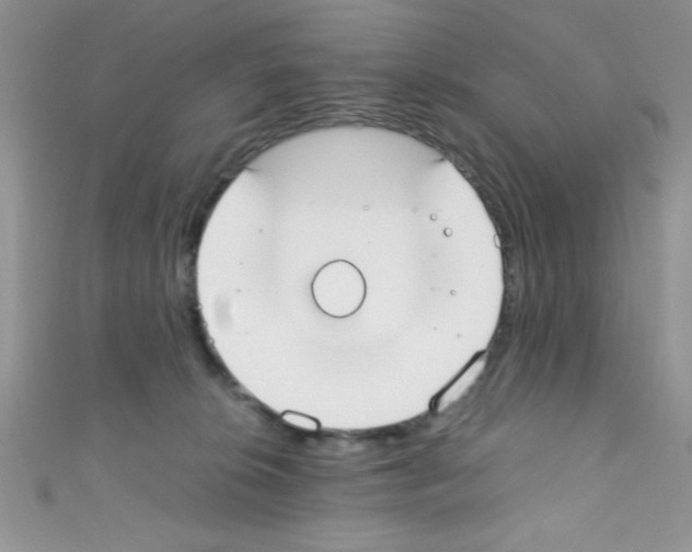 X0000110730276200907241233