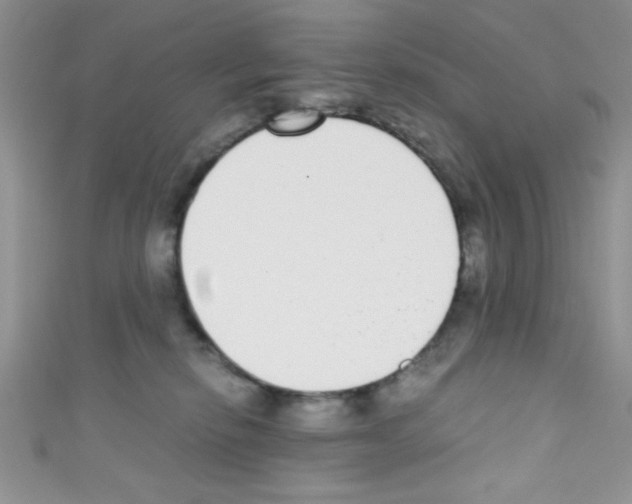 X0000110730278200907241233
