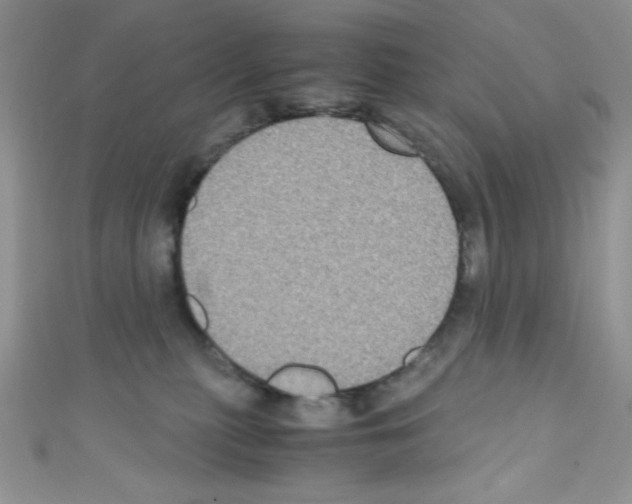 X0000110730279200907241233