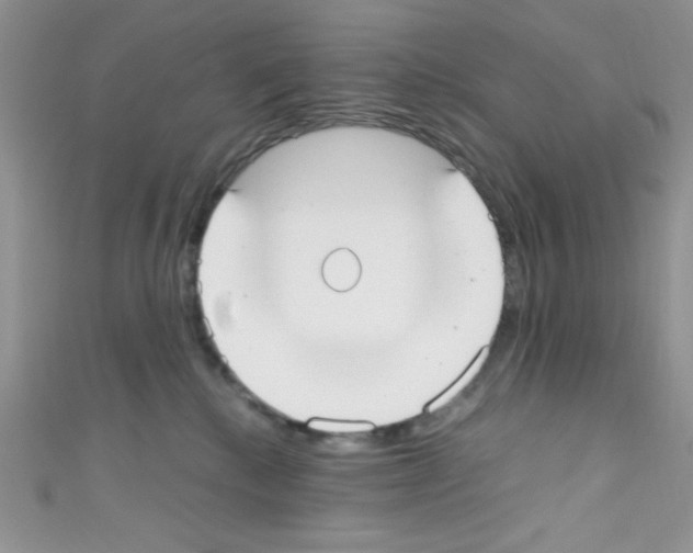 X0000110730280200907241233