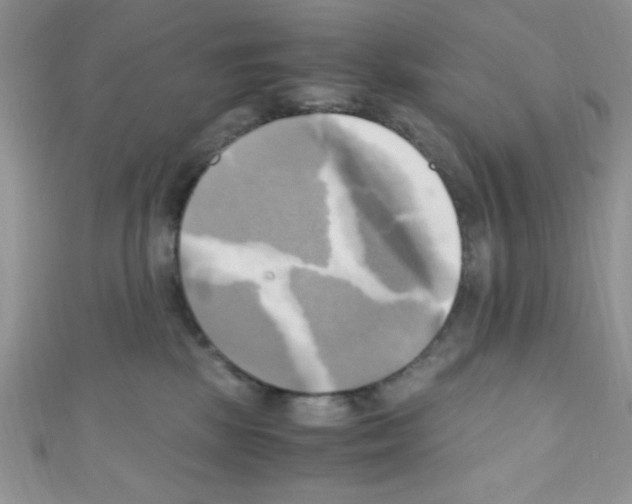 X0000110730281200907241233